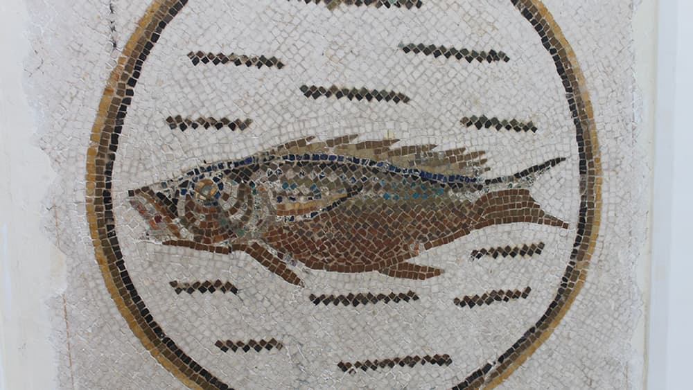 Mosaïque romaine du musée du Bardo à Tunis. Mosaïque romaine du musée du Bardo à Tunis.