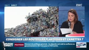 Faut-il consigner les bouteilles en plastique et les canettes pour réduire les déchets? Ça fait débat sur RMC