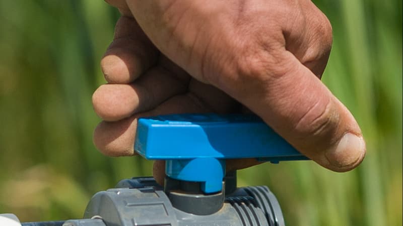 Les eaux usées ne doivent pas être utilisées pour la cuisine ou l'hygiène (photo d'illustration).