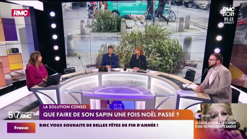 La solution Conso - Que faire de son sapin une fois Noël passé?