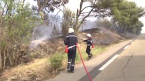 Des pompiers interviennent sur un feu de végétation dans l'Aude le 2 juillet 2024