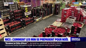 Nice: coup de feu aux Min à une semaine de Noël