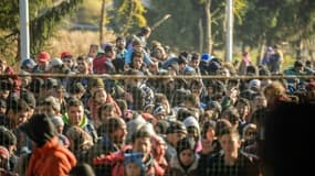La Turquie s'est engagée à "tout faire" pour parvenir à une réduction du flux de migrants qui se rendent depuis son territoire vers l'Europe, a annoncé vendredi la chancelière Angela Merkel à l'issue d'une rencontre avec son homologue turc - 22 janvier 2016
