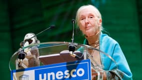 La zoologiste et primatologue britannique Jane Goodall donne une conférence à la Maison de l’UNESCO à Paris, le 19 octobre 2024. 