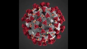 Coronavirus: y aura-t-il une deuxième vague en France ?