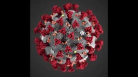 Coronavirus: y aura-t-il une deuxième vague en France ?