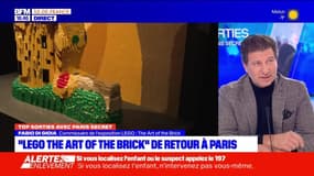 Top Sorties Paris du vendredi 19 janvier - "Lego, the art of the brick" de retour à Paris