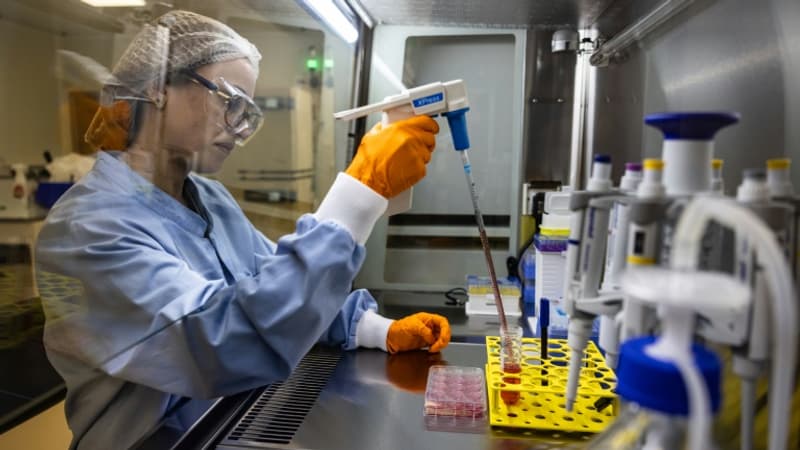 Grève des labos: accord signé entre les biologistes et la Sécu après un long bras de fer
