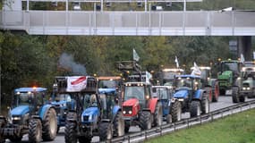 Vendredi, des agriculteurs en colère manifestaient contre l'écotaxe sur l'autoroute A2.