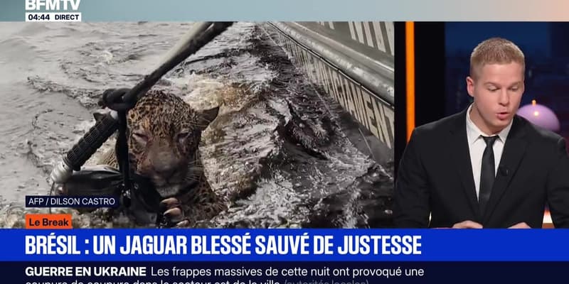 Le break du 10 octobre