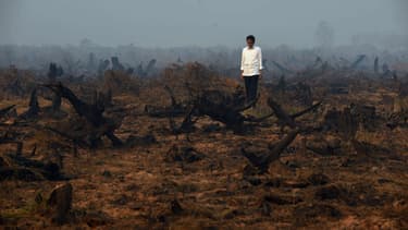 Le président de l'Indonésie, Joko Widodo face à une prairie dévastée par les flammes ce 23 septembre.
