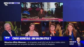 Story 6 : Crise agricole, Versailles et l'Étoile visés par une manif - 01/03