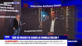 LES ÉCLAIREURS - Que se passe-t-il dans la famille Delon?