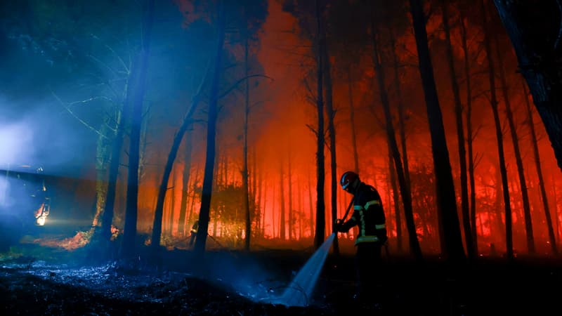 L'incendie dans les Landes a parcouru 1.100 hectares, mais sans faire de dégâts matériels