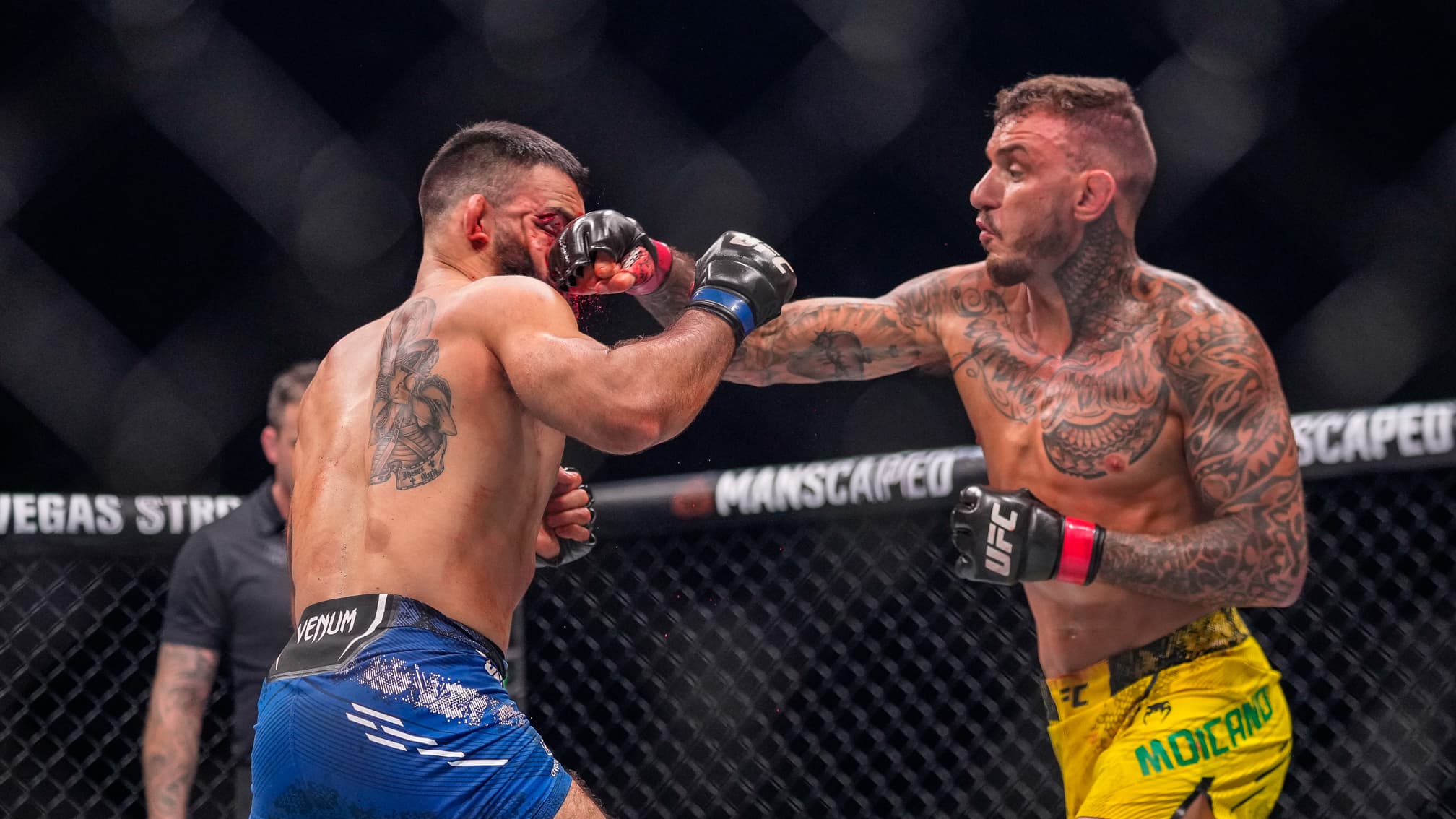 MMA: "SI L’UFC ME LE PROPOSE J’ACCEPTE", MOICANO BOUILLANT POUR UNE REVANCHE CONTRE BENOÎT SAINT DENIS