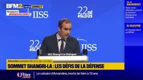Nucléaire dans l'espace : "Ce serait un désastre total", assure Sébastien Lecornu, ministre des Armées