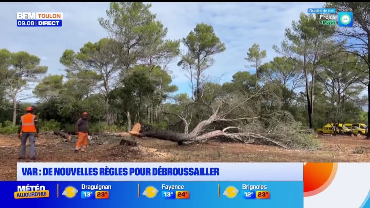 Sitemapcdatahttpsmodeinf Inetcomcombien De Temps Pour Debroussailler 1000m2