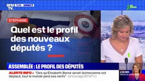 Quel est le profil des nouveaux députés ? BFMTV répond à vos questions