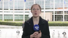 Bilan européen de François Hollande vu par des MEP étrangers