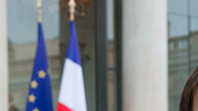 Nicolas Hulot dans la cour d'honneur de l'Elysée en décembre 2012