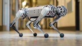 Le robot Mini Cheetah a été présenté pour la première fois en Europe. 