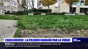 Croix-Rousse: la Vogue des Marrons laisse la pelouse de la place du Gros Caillou endommagée
