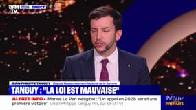 "On la soutiendra": Jean-Philippe Tanguy (RN) annonce voter la proposition de loi d'Éric Ciotti pour supprimer l'exécution provisoire pour les peines d'inéligibilité