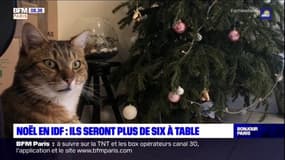Noël en Ile-de-France: ces familles ne respecteront pas les recommandations du gouvernement