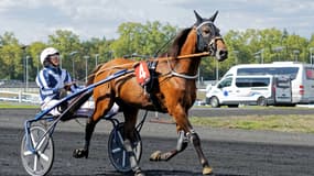 Horsy Dream a brillé dans le Prix Ténor de Baune