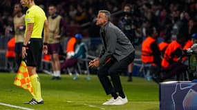 Luis Enrique lors du match PSG-Gérone (1-0, Ligue des champions), le 18 septembre 2024