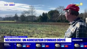 Lyon: le dernier agriculteur de la ville dépité face à la sécheresse