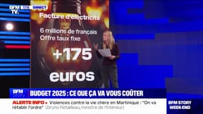LES ÉCLAIREURS - Budget 2025: ce que ça va coûter aux ménages