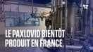 Immersion dans le laboratoire français qui produira le Paxlovid, la pilule anti-Covid de Pfizer