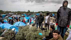 Des migrants à Calais.