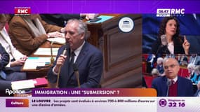Immigration : "La France compte 11% d'immigrés"