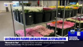 Var: des fleurs locales pour la Saint-Valentin