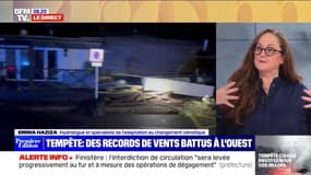 Tempête : des records de vents battus à l'ouest - 02/11