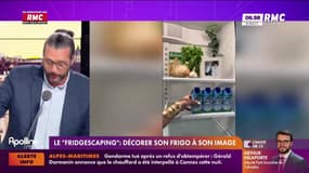 On n'a pas osé vous en parler : Le "fridgescaping", décorer son frigo à son image - 27/08