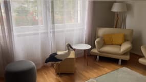 Une cigogne dans le salon de Christophe Meyer, élu municipal de la commune de Cernay dans le Haut-Rhin, le 1er juillet 2023.