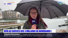 BFM Normandie: une chaîne pour les Normands