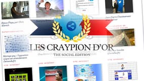 Chaque année depuis 2010, le site au design le plus rétrograde est récompensé par l'assemblée des amoureux des Internets.