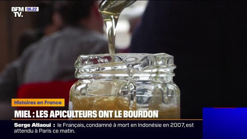 Miel de France: la profession en crise avec moins d'abeilles et d'apiculteurs