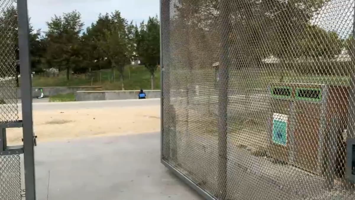 placeholder video