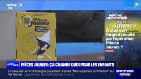 À quoi sert l'argent récolté par l'opération Pièces Jaunes? BFMTV répond à vos questions