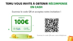 Une offre de récompense sur le site Temu.