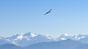 Un planeur (photo d'illustration) 