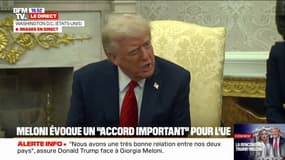 Accord sur les minerais ukrainiens: "Nous avons un accord qui sera signé jeudi prochain", affirme Donald Trump