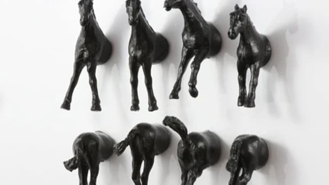Des aimants chevaux