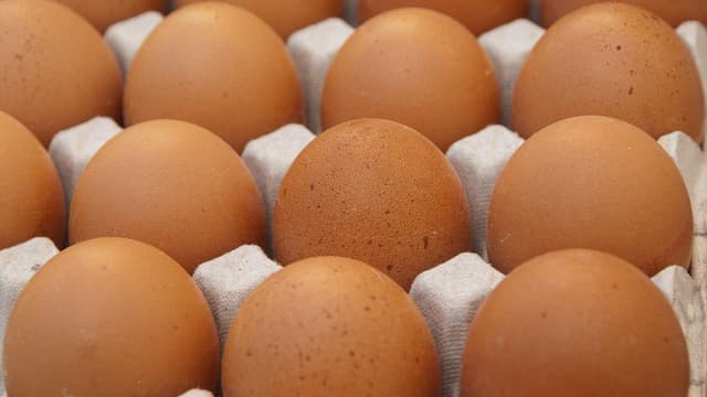 La demande en oeuf est inférieure à l'offre