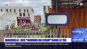 Marseille: les "Jardins du coeur", un atelier d'insertion dans le 15e arrondissement